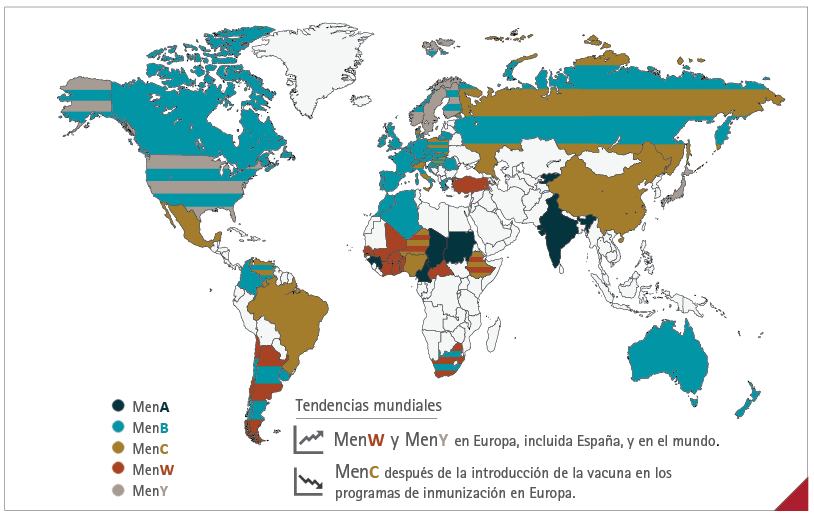 Epidemiología mundial de la enfermedad meningocócica invasiva por serogrupos